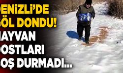 Denizli’de Göl Dondu! Hayvan Dostları Boş Durmadı…