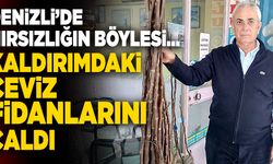 Denizli’de Hırsızlığın Böylesi… Kaldırımdaki Ceviz Fidanlarını Çaldı