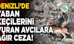 Denizli’de Yaban Keçilerini Vuran Avcılara Ağır Ceza!