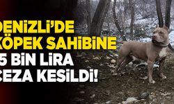 Denizli’de Yasak Irk Köpek Besleyen Bir Kişiye 15 Bin Lira Ceza Kesildi!