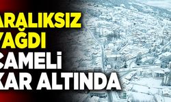 Denizli’nin Çameli İlçesi Kara Teslim Oldu