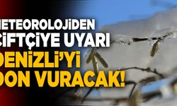 Meteorolojiden Çiftçiye Uyarı! Denizli’yi Don Vuracak!