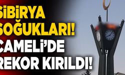 Sibirya Soğukları Geldi! Çameli’de Rekor Kırıldı