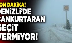Son Dakika: Denizli’de Cankurtaran Geçit Vermiyor