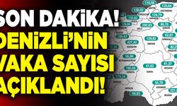 Son Dakika: Denizli’nin Vaka Sayısı Açıklandı!