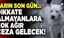 Tehlikeli Köpek Irkları İçin Son Kayıt Tarihi 14 Ocak!