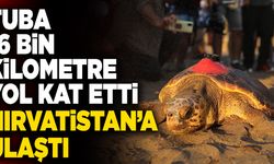 Tuba 16 Bin Kilometre Yol Kat Etti! Hırvatistan’a Ulaştı