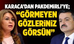 CHP’li Karaca’dan Bakan Pakdemirli’ye; “Görmeyen Gözleriniz Görsün”