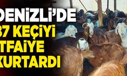 Denizli’de 87 Küçükbaş Hayvanı İtfaiye Kurtardı