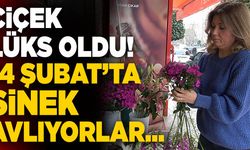 Denizli’de Sevgililer Gününde Çiçekçiler Sinek Avlıyor