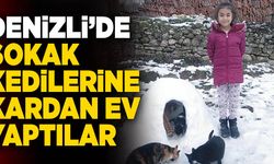 Denizli’de Sokak Kedileri İçin Kardan Ev Yaptılar