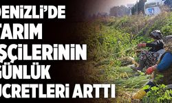 Denizli’de Tarım İşçilerinin Günlük Ücretleri Arttı