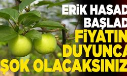 Erik Tane İle Satılıyor… Fiyatını Duyunca Şok Olacaksınız!