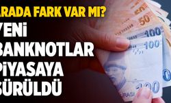 Merkez Bankası Yeni 50 Ve 100 TL’lik Banknotları Piyasaya Sürdü