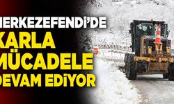 Merkezefendi’de Karla Mücadele Devam Ediyor