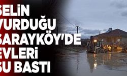 Denizli'yi Sel Vurdu! O İlçede Evleri Su Bastı...