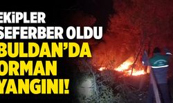 Buldan’da 1 Hektarlık Alan Kül Oldu