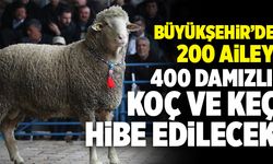 Büyükşehir’den 200 Aileye 400 Damızlık Koç Ve Keçi Hibe Edilecek!