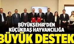 Denizli Büyükşehir'den Küçükbaş Hayvancılığa Büyük Destek