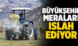 Denizli Büyükşehir Meraları Islah Ediyor