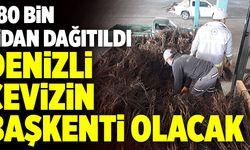 Denizli’de 380 Bin Ceviz Fidanı Dağıtıldı
