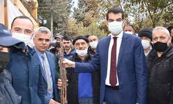 Denizli’de 430 Bin Ceviz Fidanı Dağıtıldı