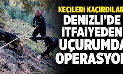 Denizli’de Uçurumda Mahsur Kalan 4 Keçi Kurtarıldı