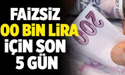 KOSGEB Faizsiz 100 Bin Lira İçin Son 5 Gün