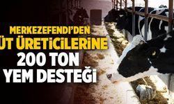 Merkezefendi’den Süt Üreticilerine 200 Ton Yem Desteği