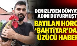 Bayılan Horoz ‘Bahtiyar’ Hayatını Kaybetti!