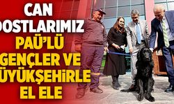 Can Dostlarımız Paü’lü Gençler Ve Büyükşehirle El Ele