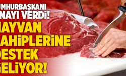 Cumhurbaşkanı Onayı Verdi!  Sığır Yetiştiricilerine Destek Geliyor!