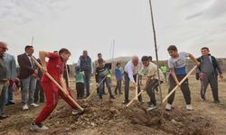 Denizli Büyükşehir Bozkurt’ta Ağaçlandırma Çalışması Yaptı