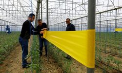 Denizli Büyükşehir Üreticinin Yüzünü Güldürmeye Devam Ediyor