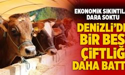 Denizli’de Bir Besi Çiftliği Daha Battı