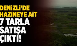 Denizli’de Hazineye Ait 7 Tarla Satışa Çıktı!