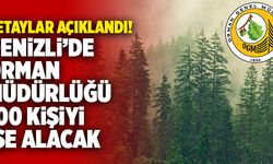 Denizli’de Orman Müdürlüğü 100 Kişiyi İşe Alacak