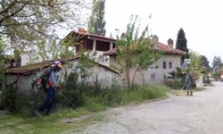 Pamukkale Belediyesi Tüm İlçeyi Yaza Hazırlıyor