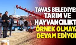 Tavas Belediyesi Tarım Ve Hayvancılıkta Örnek Olmaya Devam Ediyor