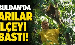 Buldan’da Arılar İlçeyi Bastı!