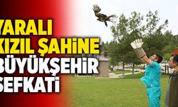 Denizli Büyükşehir Yaban Dostlarına Da Sahip Çıkıyor
