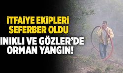 Denizli’de 1 Günde 2 Orman Yangını Çıktı