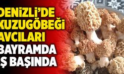 Denizli’de Kuzugöbeği Avcıları Bayramda İş Başında