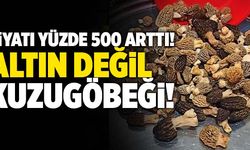 Denizli’de Kuzugöbeğinin Fiyatı Altınla Yarışıyor!
