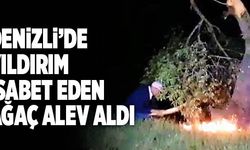 Denizli’de Yıldırım İsabet Eden Ağaç Alev Aldı