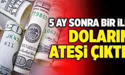 Dolar Kaç Lira Oldu? Doların Ateşi Çıktı!