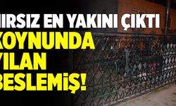 Koynunda Yılan Beslemiş! Denizli’de Hırsızın Kimliği Şaşırttı!