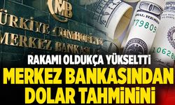 Merkez Bankasından Dolar Tahminini! Rakamı Oldukça Yükseltti