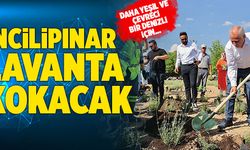 Denizli Büyükşehir İncilipınar Parkı’nı Lavantalarla Donattı