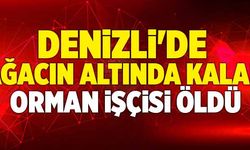 Denizli'de Üzerine Ağaç Devrilen Orman İşçisi Öldü